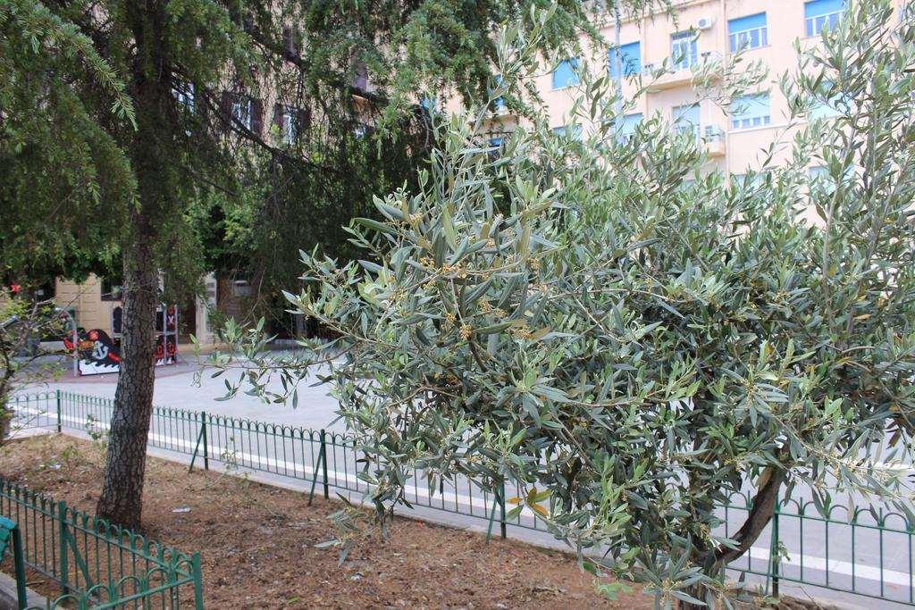 Hotel Del Viale Agrigento Facilidades foto
